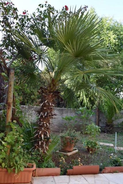 דירות ספליט Apartman Kristina מראה חיצוני תמונה